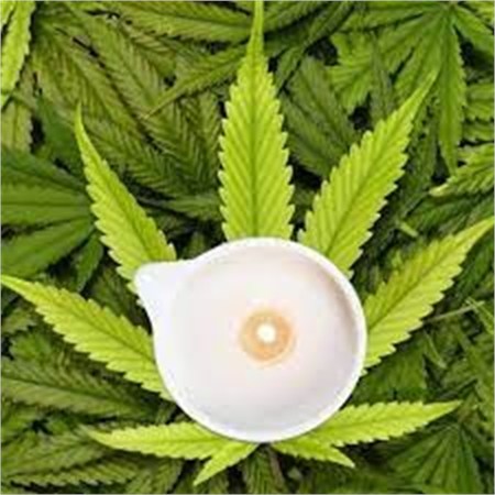 candela massaggio bio hemp oil 100 ml estetiste