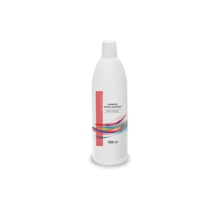 Shampoo professionale capelli colorati Go Ahead 1000 ml in 